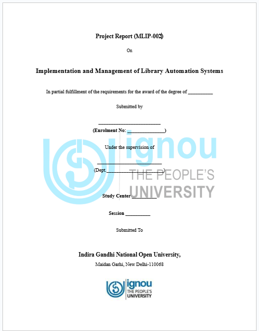report sample of mlip 2